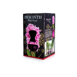 Hyacinth Pink Pearl Bulb in Glass
