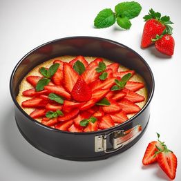Tala Performance Non Stick Springform Cake Tin alternative