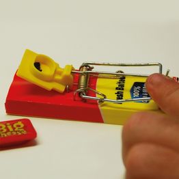 STV Big Cheese Baited Mouse Traps (2) STV197 alternative