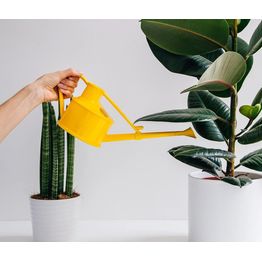 Haws Langley Sprinkler Watering Can alternative