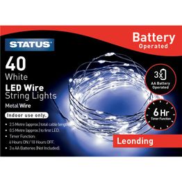 Wire String Lights Battery Operated 6hr Function 40LED alternative