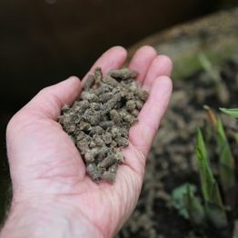 Vitax Slug Gone Wool Pellets 1ltr alternative