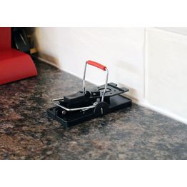 Rentokill Advanced Mouse Trap FM101 alternative