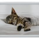 Creative Tops Sleeping Kitten Lap Tray additional 1