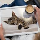 Creative Tops Sleeping Kitten Lap Tray additional 2