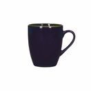 Rose &amp; Tulipani Concerto Mug 430ml additional 10