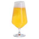 Dartington Crystal Cheers Beer Glass 4pk additional 4