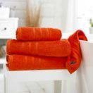 Lobster Creek Kaleidoscope Ginger 550 GSM Combed Cotton Towels additional 1