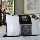 The Lyndon Company Soft As Down Pillow P12 additional 2