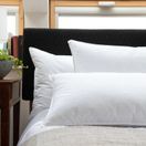 The Lyndon Company Softened Duck Feather Pillow Pair P11 additional 1