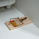 STV Wooden Mouse Trap 4 pack STV040 additional 3