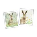 National Trust Hare Plant Based Cleaning Cloths Set of 2 additional 1