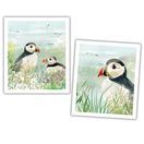 National Trust Puffin Plant Based Cleaning Cloths Set of 2 additional 1