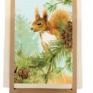 National Trust Squirrel Plant Based Cleaning Cloths Set of 2 additional 2
