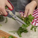 Kuhn Rikon Kitchen Shears Universal 27017 additional 3