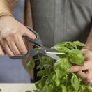 Kuhn Rikon Kitchen Shears Compact 27016 additional 3