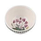 Portmeirion Pottery Seconds Botanic Garden Stacking Bowl 18cm additional 2