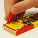 STV Big Cheese Baited Mouse Traps (2) STV197 additional 5