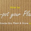 Miracle-Gro® Plant & Grow Compost 10Ltr additional 3