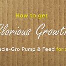 Miracle-Gro® Pump & Feed All Purpose 200ml additional 3