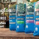 Levington Peat Free John Innes No.2 Compost 25Ltr additional 6
