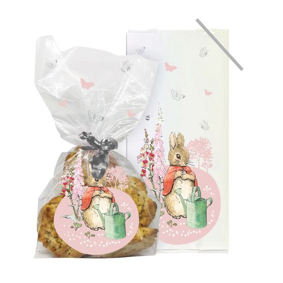 Creative Party Flopsy Bunny Cello Treat Bag with Twist Ties (20)