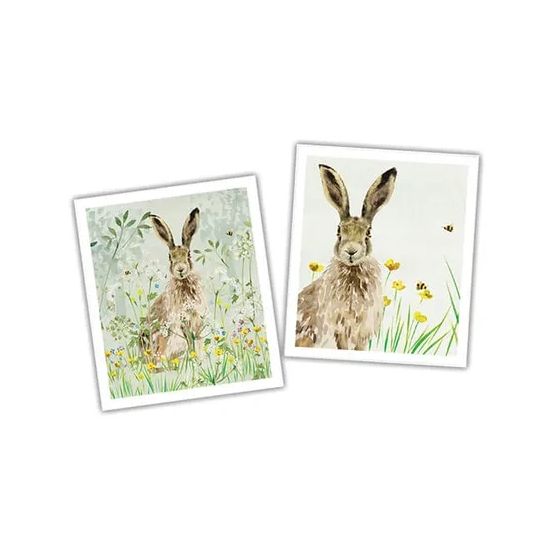 National Trust Hare Plant Based Cleaning Cloths Set of 2