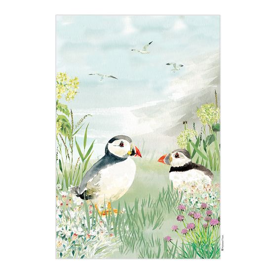 National Trust Puffin Organic Cotton Tea Towel