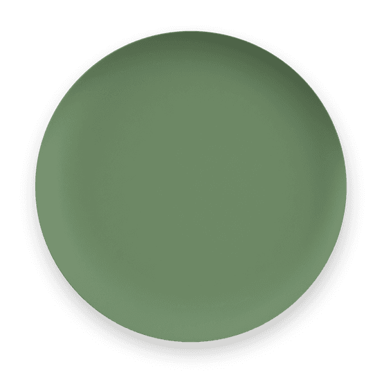 Epicurean Mediterranean Garden Melamine Dinner Plate 27cm Green